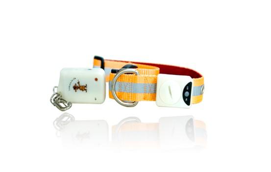 ������G��